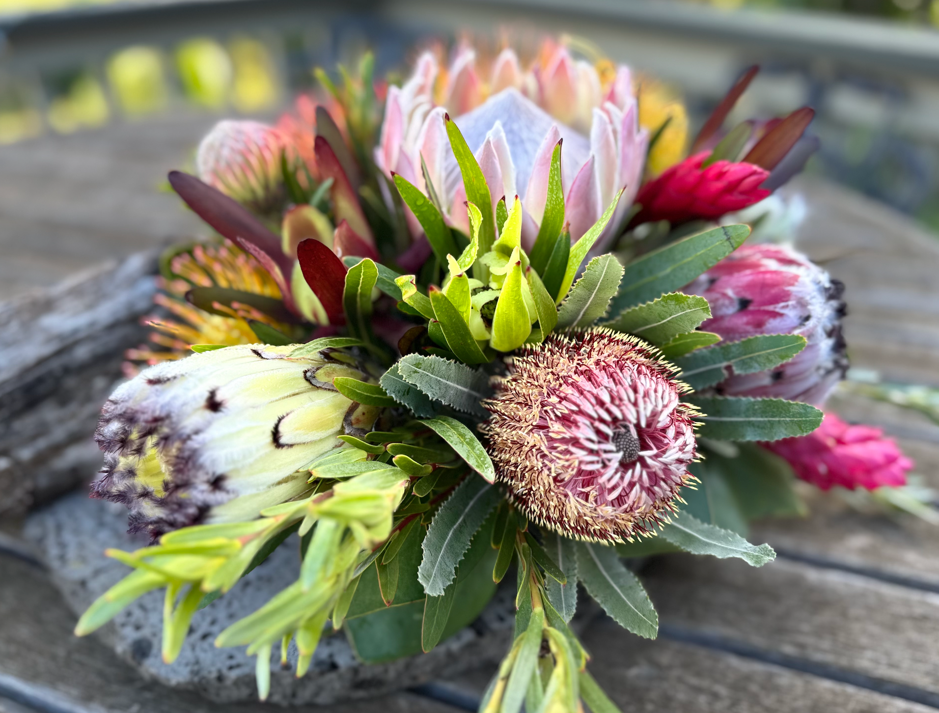 Maui Protea Flowers – The Crown Jewel of Upcountry Maui Floriculture