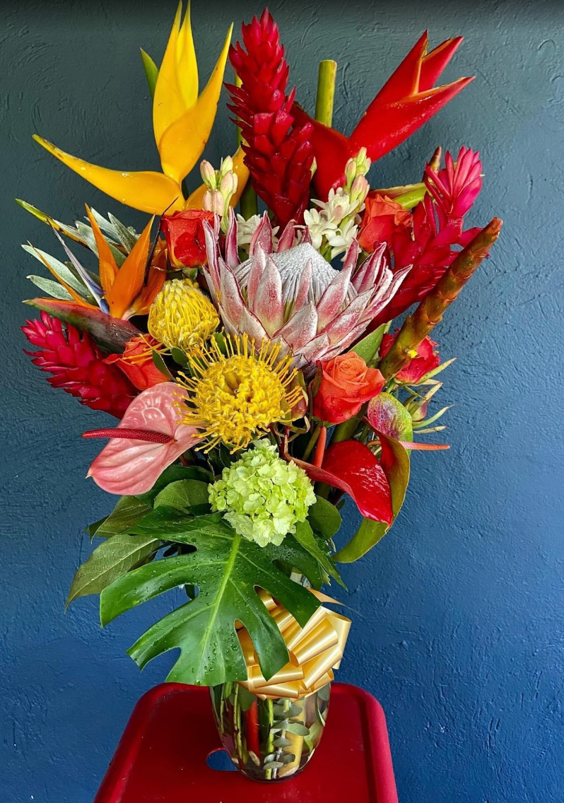 Maui Tropical Flowering Plants – Living Beauty Grown by Maui Farmers