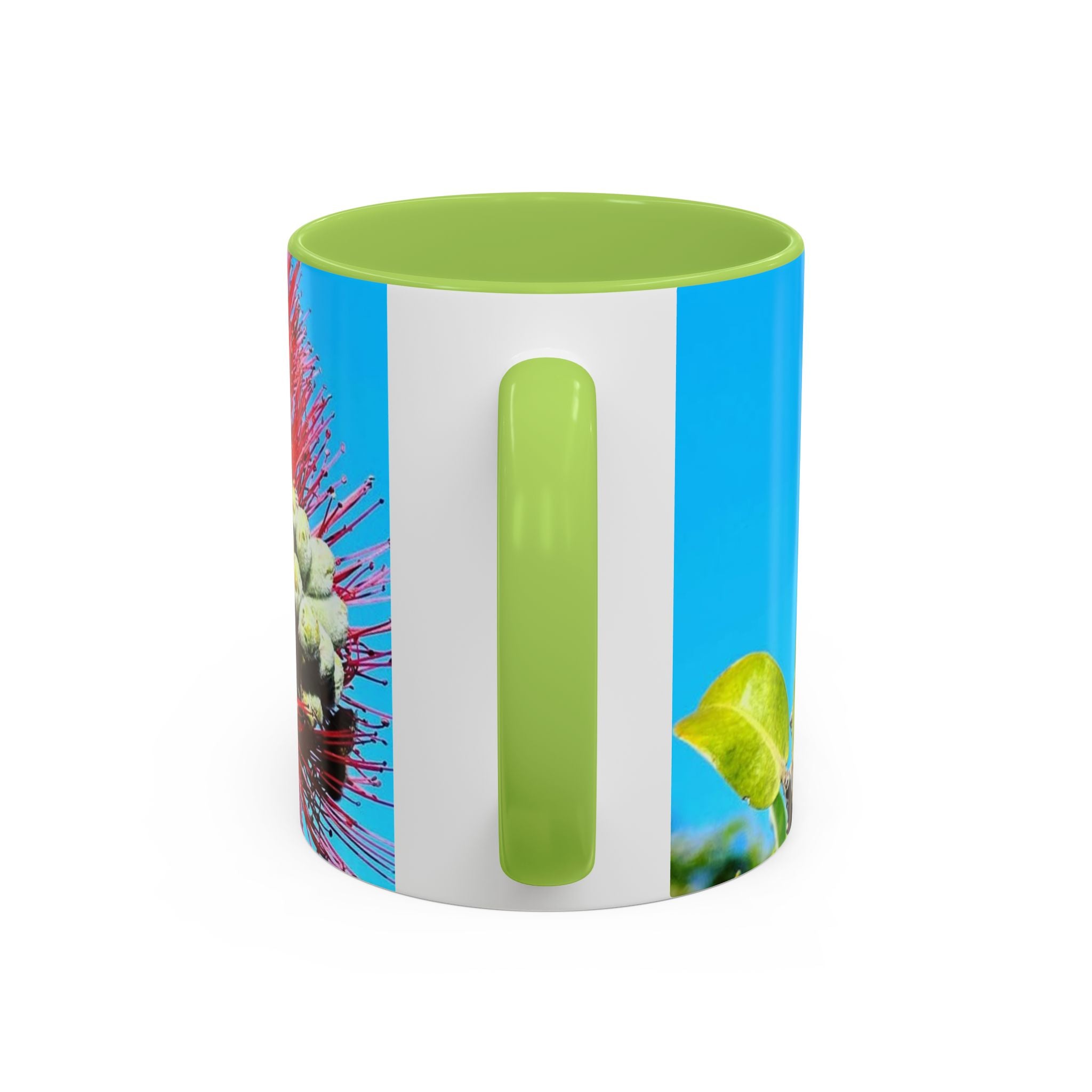 Ohia Lehua Muse Collection Accent Coffee Mug (11, 15oz)