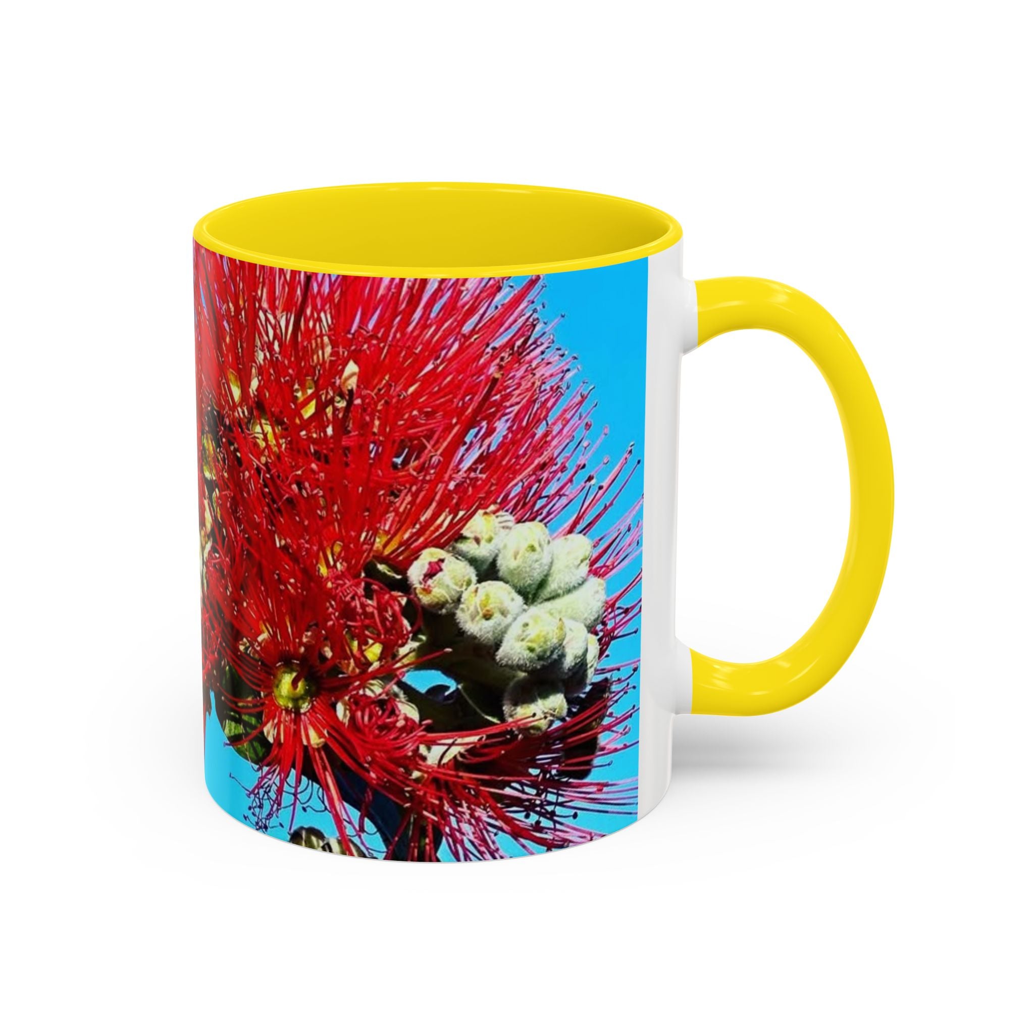 Ohia Lehua Muse Collection Accent Coffee Mug (11, 15oz)