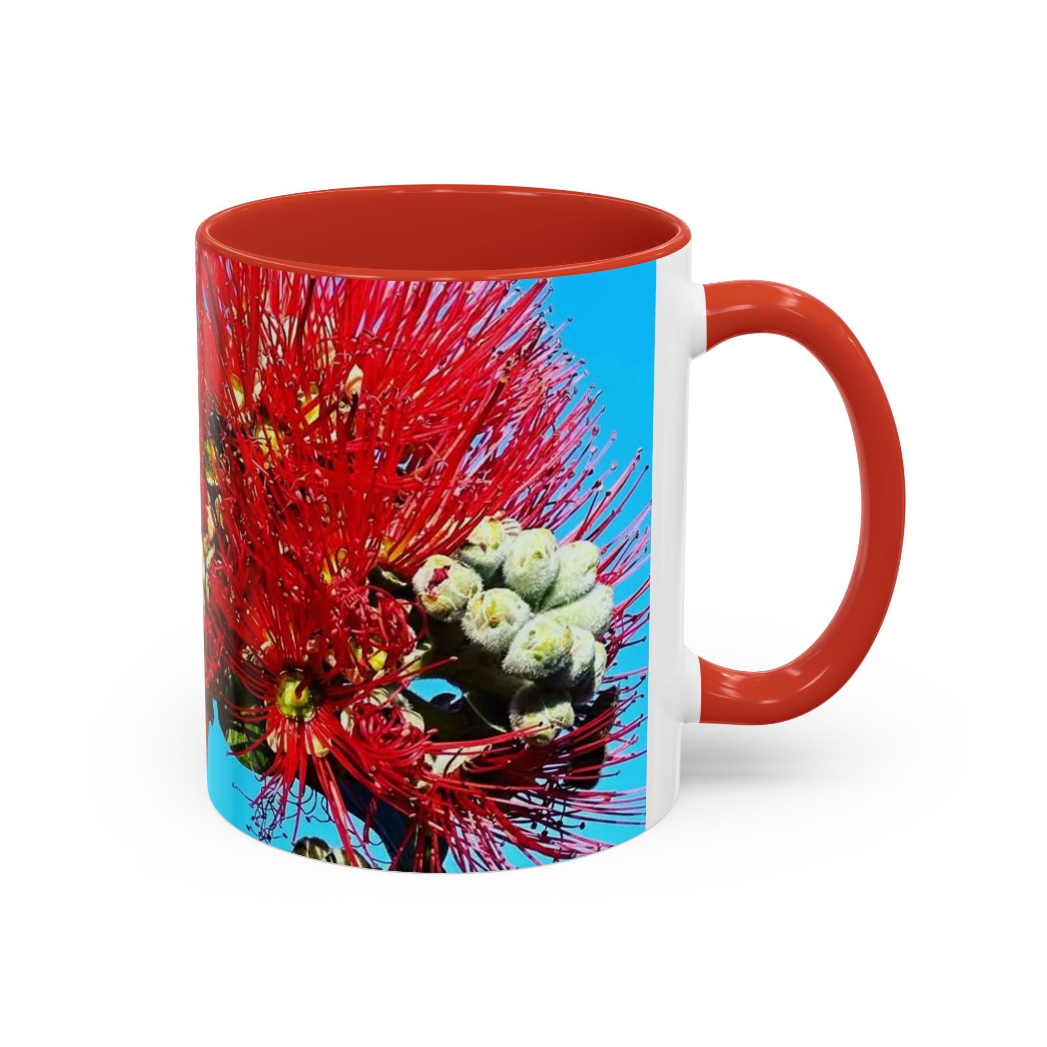 Ohia Lehua Muse Collection Accent Coffee Mug (11, 15oz)