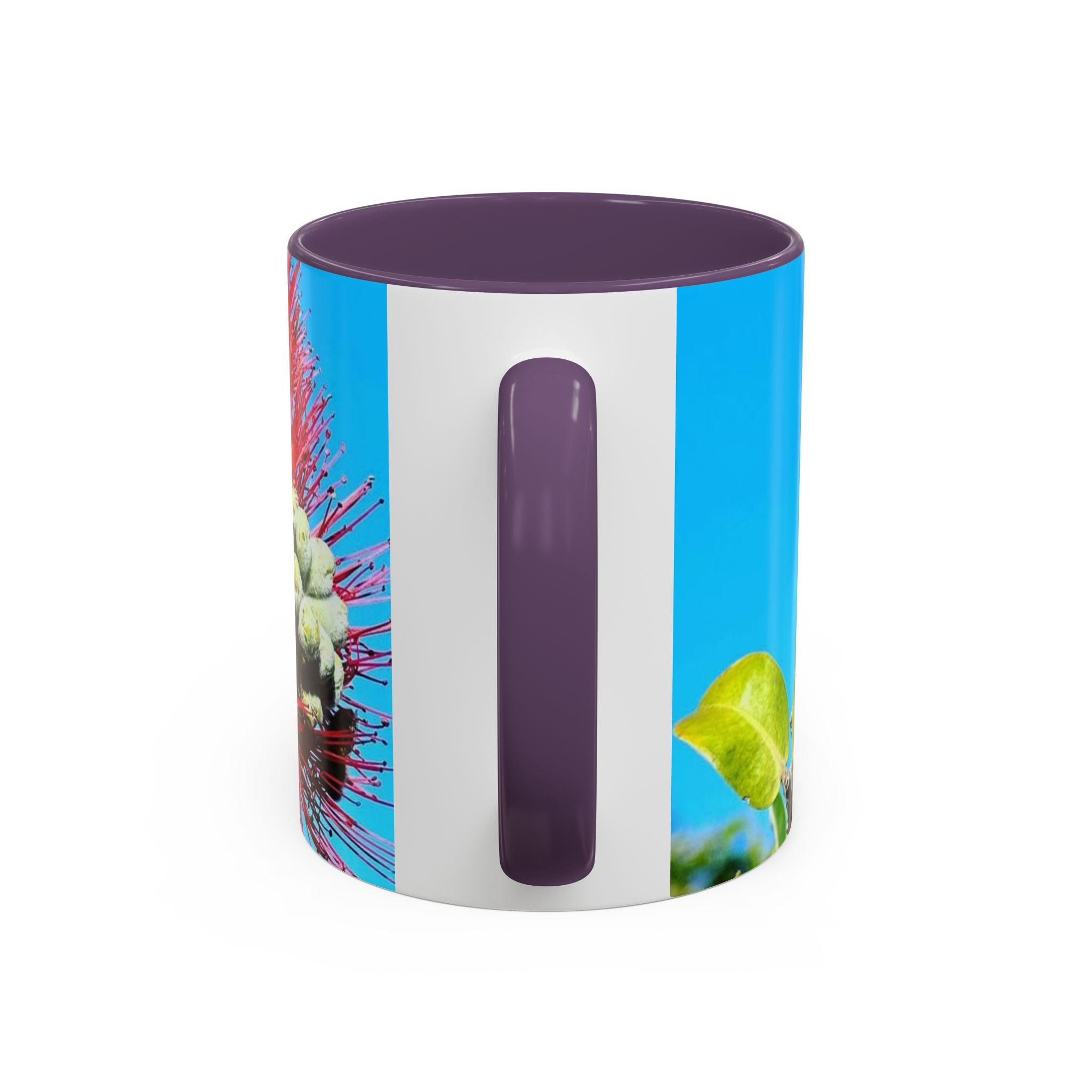 Ohia Lehua Muse Collection Accent Coffee Mug (11, 15oz)