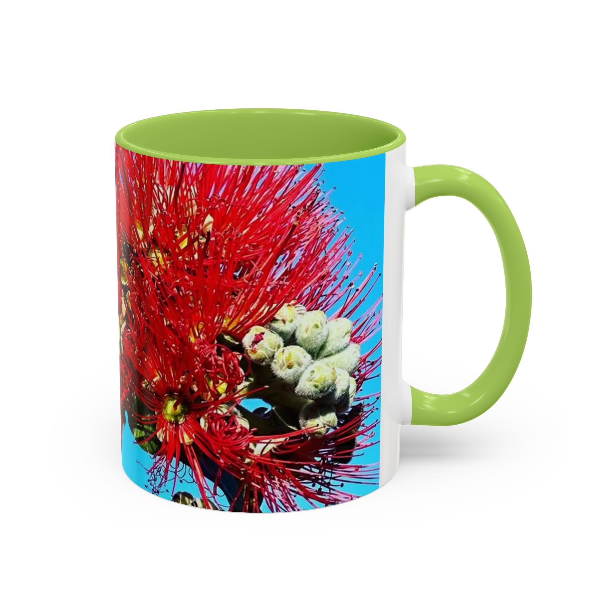 Ohia Lehua Muse Collection Accent Coffee Mug (11, 15oz)