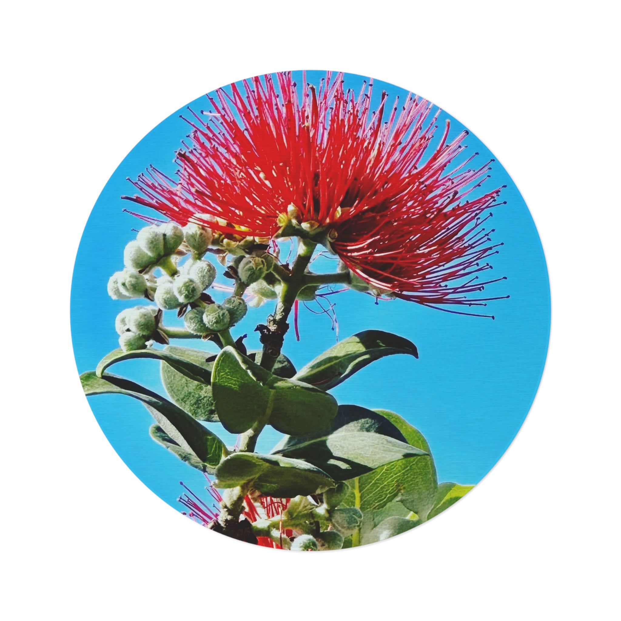 Ohia Lehua Maui Muse Collection Round Rug — Vibrant Maui Native Floral Floor Mat