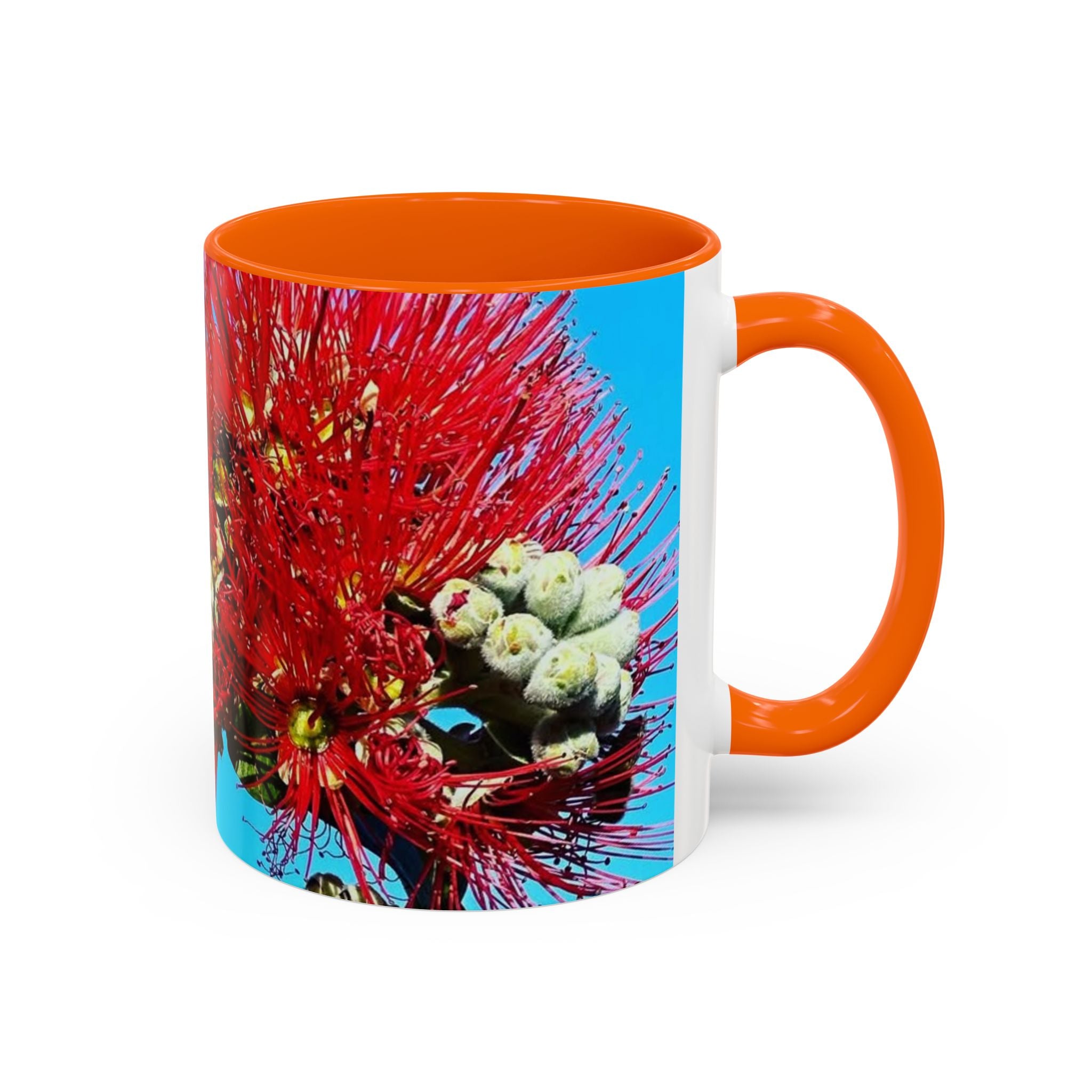 Ohia Lehua Muse Collection Accent Coffee Mug (11, 15oz)