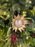Maui Christmas Tree Service ~ Delivery, Set up and removal Available