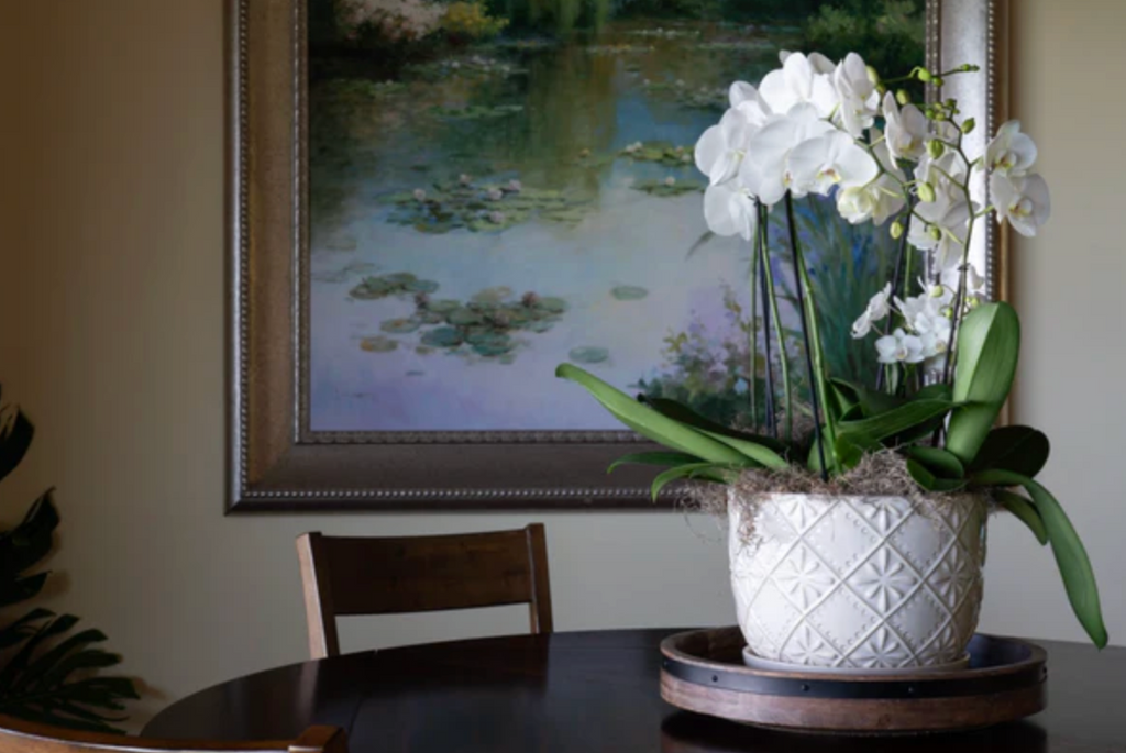 Home Or Office Decor Package ~ 5 Arrangements