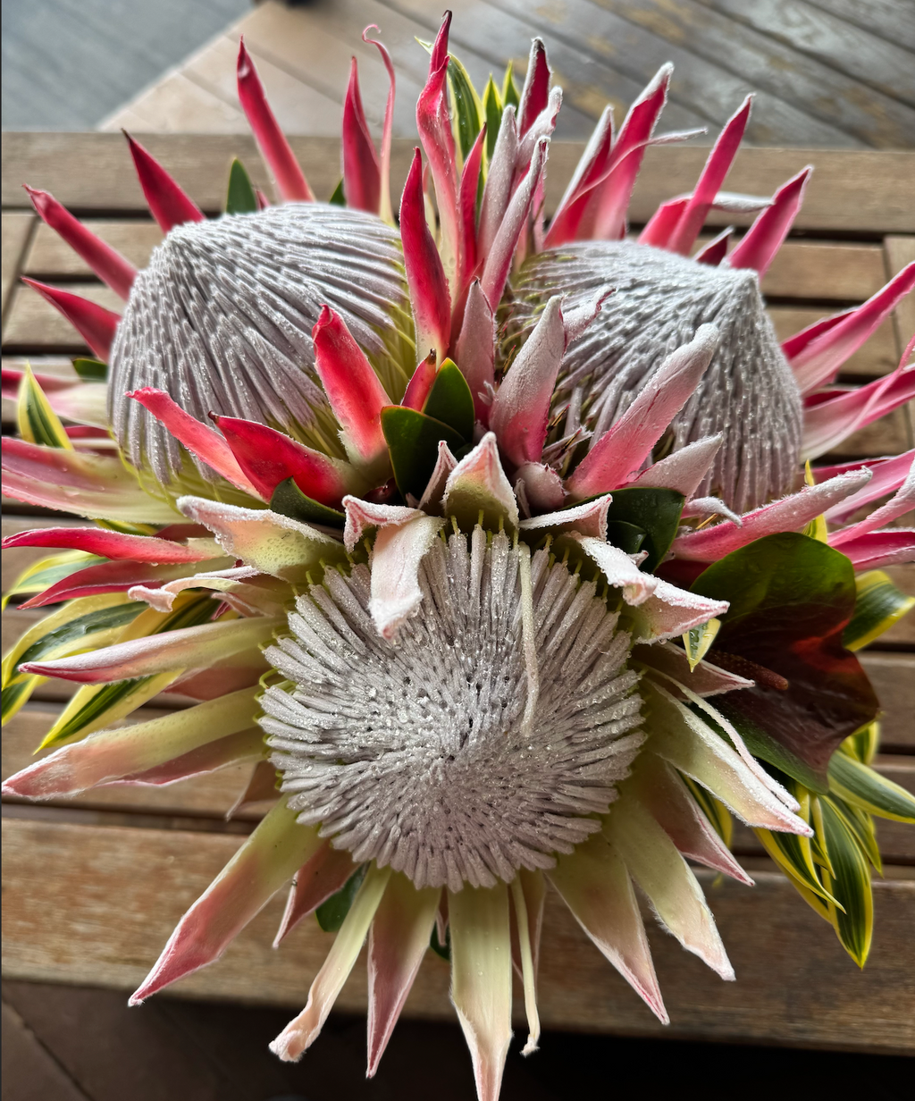 Three King Star of the show 360 table arrangement